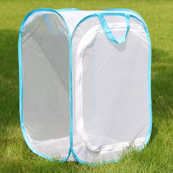 RESTCLOUD Insect and Butterfly Habitat Cage Terrarium Pop-up 24 Inches Tall