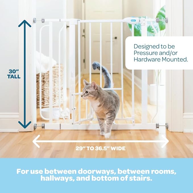 Carlson Extra Wide Walk Through Pet Gate with Small Pet Door, Includes 4-Inch Extension Kit, Pressure Mount Kit and Wall Mount Kit,White