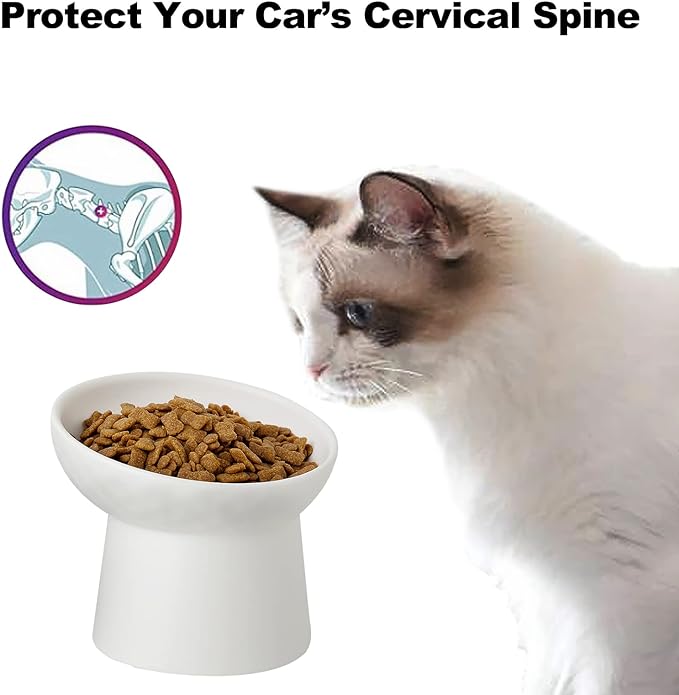 4 Pcs Small Ceramic Raised Cat Bowls, Tilted Elevated Food or Water Bowls, Stress Free, Backflow Prevention, Dishwasher and Microwave Safe, Lead & Cadmium Free(4pc White)