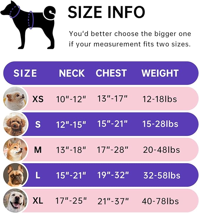 IVY&LANE No Pull Dog Harness with Leash Set, Reflective No Choke Pet Vest,Adjustable Oxford Dog Vest Harness with Easy Control Handle for Large Dogs (Checkered Pink,XL)