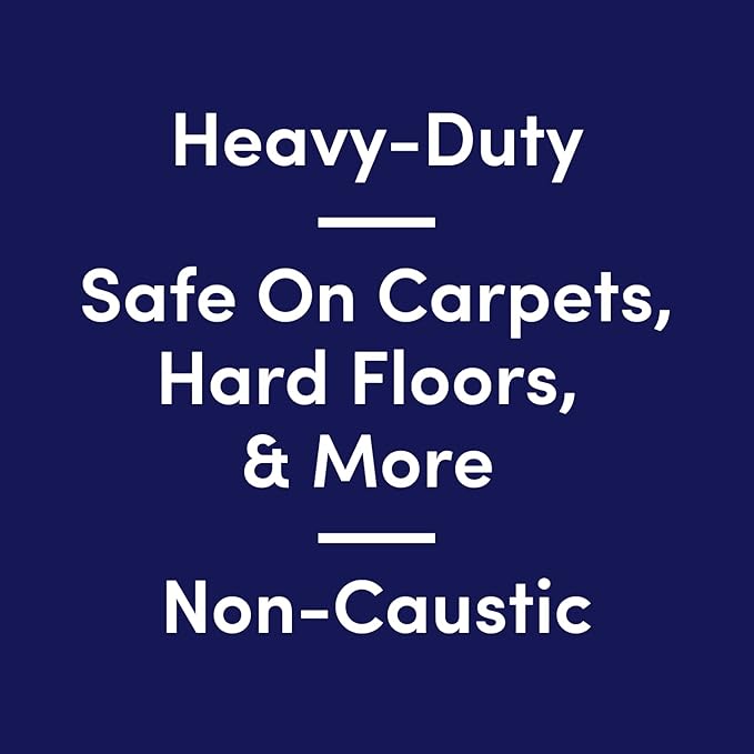 Bioesque Advanced Stain + Odor Remover, Pet-Friendly Natural Enzymatic & Bacterial Formula, Heavy-Duty Stain & Odor Remover, Safe on Carpets, Hard Floors, & More, 32 Fl Oz (Pack of 1)