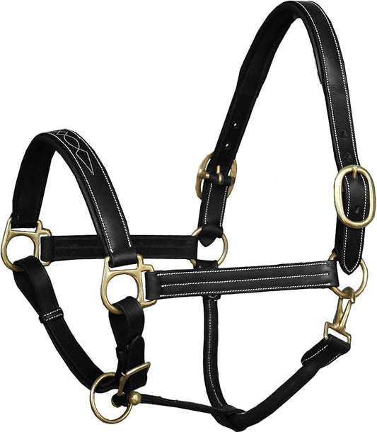 Exion Leather Horse Halter with Fancy Stitching | Black & Brown Padded Halter with Brass Hardware | Quick-Release Snap | Adjustable Leather Halter – Cob, Full, Over, Pony Sizes