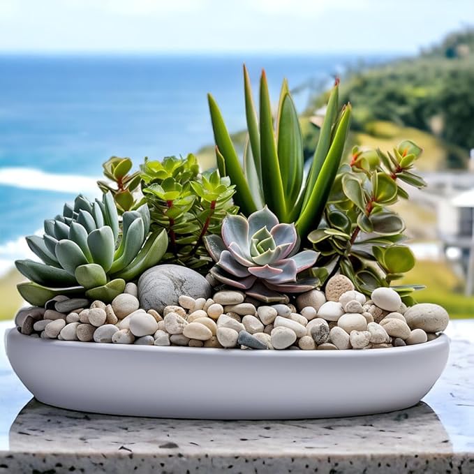 HappyFiller Natural Decorative White Pebbles Polished Rocks Stones for Aquarium Gravel,Fish Turtle Tank,Outdoor Indoor Succulents Plants Top Dressing,Graden Landscaping,2 LB