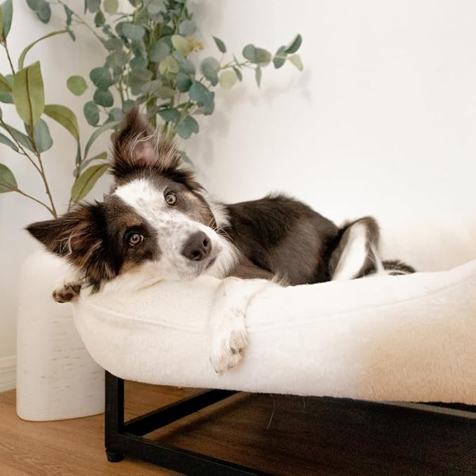 FUZI Luxury Aesthetic Dog Bed with Extra Cover for Large Dogs, Washable Pet Couch, Pet Bed with Sides, Non-Slip Bottom, Soft and Durable Calming Dog Bed, Faux Fur, Large 35.6x28.5x9.5 Soft White