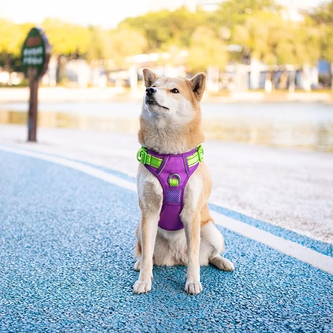PHOEPET No Pull Dog Harness, Unique Colors Reflective Adjustable Dog Vest, with Soft Training Handle Metal Clips for Small Medium Large Dogs (Purple Base & Green Straps,S)