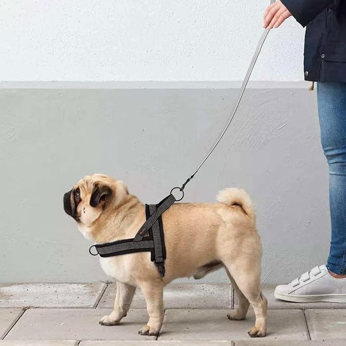 Didog No Pull Dog Harness with Breathable Mesh Padded, Full Reflective & Quick Fit Adjustable Vest Harness, Easy for Training Walking for Small & Medium and Large Dogs (Black, S:Chest 18-22")