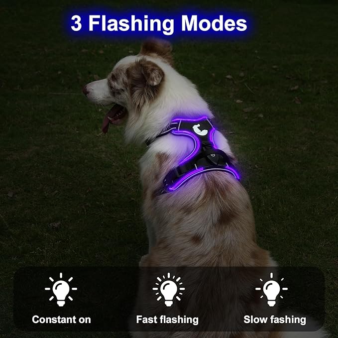 Taglory Light Up Dog Harness, Rechargeable No Pull Dog Vest with 3 Lightning Modes, Reflective Dog Harness with 2 Leash Clips & 4 Adjustable Slide Strips for Medium Dogs, Black-Purple, M