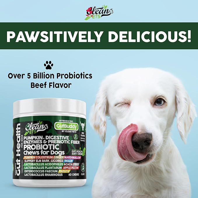 Probiotics for Dogs with Pumpkin, Colostrum, Digestive Enzymes, Ginger, Slippery Elm, Licorice, Inulin Fiber & More | Beef Flavor Soft Chews for Gut Health and Digestion Dog Supplement