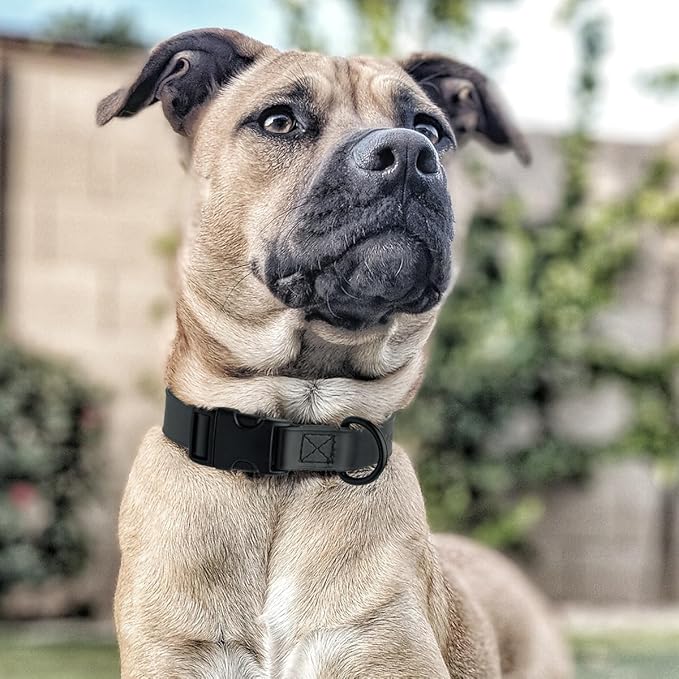 Dogline Biothane Waterproof Dog Collar with Quick Release Buckle Strong Coated Nylon Webbing with Odor- Proof for Easy Care Easy to Clean Fits Small Medium or Large Dogs, Black 3/4" W 12-19" L