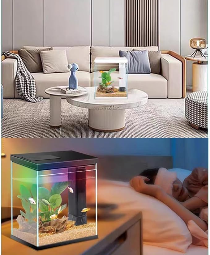 Glass Betta Aquarium Starter Kits, 2 Gallon Fish Tank with Heater Filter and Light.