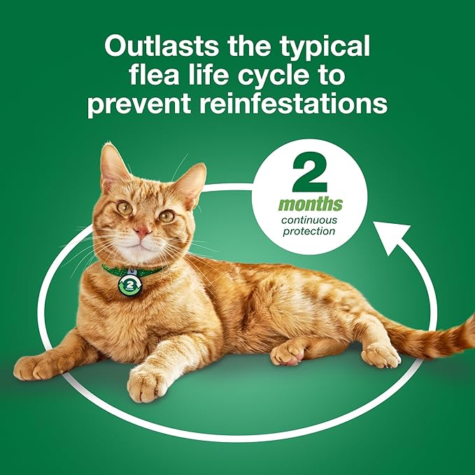 Advantage XD Small Cat Flea Prevention & Treatment For Cats 1.8-9lbs. | 2-Topical Doses, 2-Months of Protection Per Dose