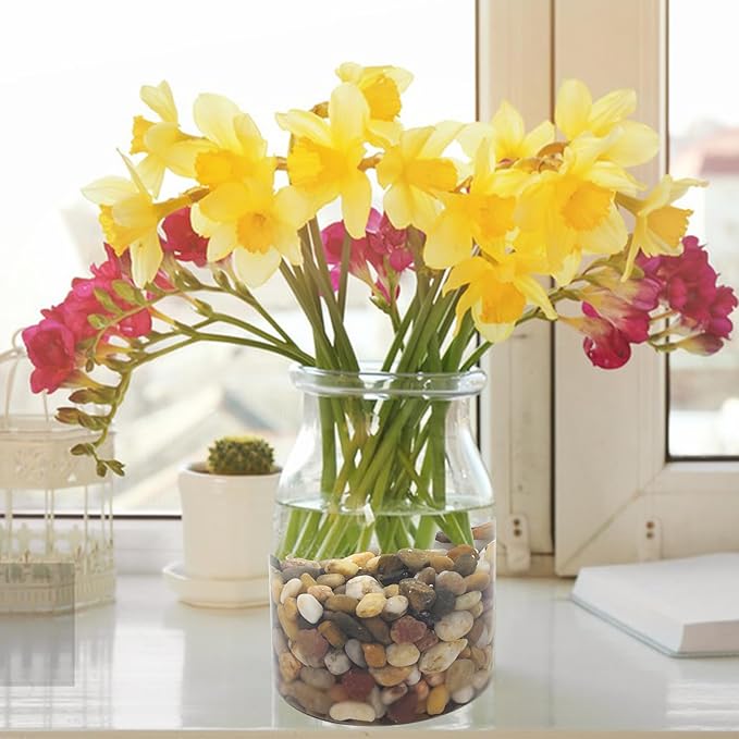 5 lbs Polished Pebbles, 3/8 Inch Pea Gravel for Plants, Decorative Stones River Rocks for Succulent Soil Cover, Cactus, Aquarium, Vase and Outdoor Garden Landscaping