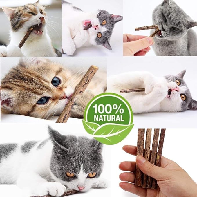 20 PCS Cat Catnip Sticks Natural Matatabi Silvervine Sticks - Cleaning Teeth Molar Tools Kitten Chew Toy Natural Catnip Cats Toy