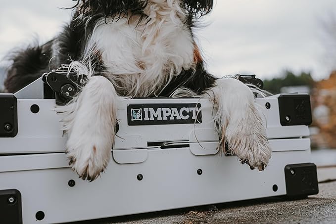 Impact Collapsible Dog Crate - Foldable Hard Crate for Medium Dogs - Heavy Duty Travel Kennel with Powder-Coated Aluminum - Quick Setup for Indoor & Outdoor (Black, 30" (30.5" L x 20.5" W x 26" H))