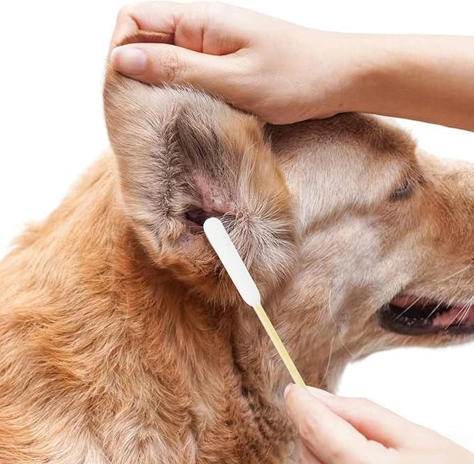 Long Cotton Swabs for Dog Ear Cleaning, 500pcs, 4.7 Inch Biodegradable Cotton Tips, Pet Ear Care & Wound Treatment, Eco-Friendly Dog Ear Swabs