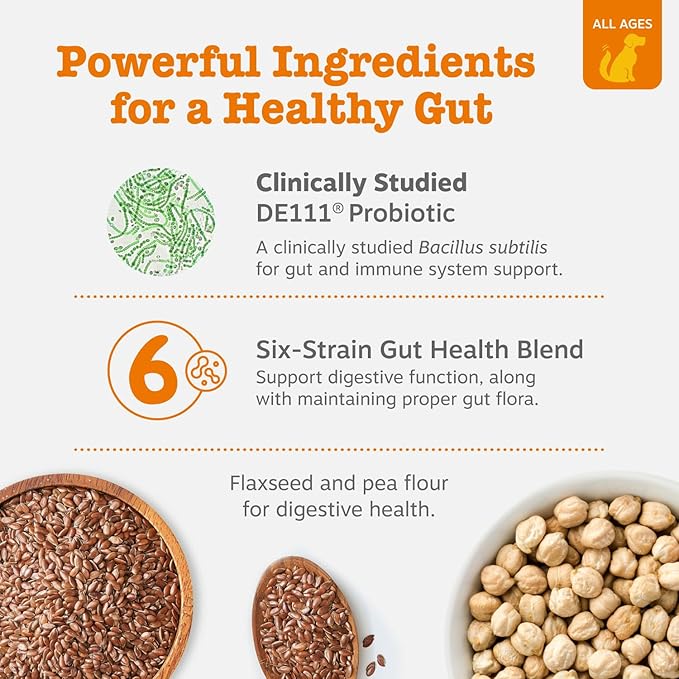 Zesty Paws Probiotics for Dogs, Digestive Enzymes Gut Flora, Digestive Health, Diarrhea & Bowel Support, DE111, Dog Probiotic Soft Chew for Pet Immune System, Pumpkin, 250 Ct