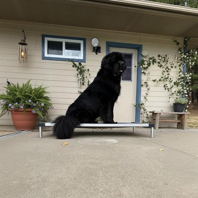 FXW TitanNest Chew-Proof Elevated Dog Bed, Raised Cot for Indoor/Outdoor/Camping Use, Durable & Washable Padded Pet Bed for Large Dogs, 50.0" L x 31.0" W x 7.3" H, Gray