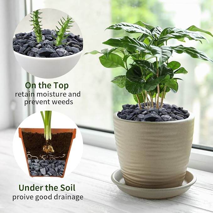 10LB Black Pea Gravel for Landscaping, 3/8 Inch Black Pebbles for Plants Cactus Succulent Fish Tank and Garden Black Stones