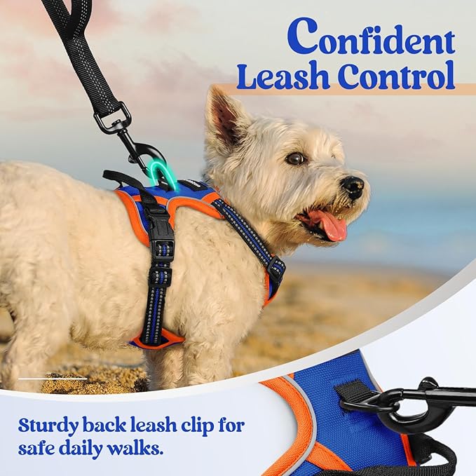 rabbitgoo Dog Harness No Pull with 2 Leash Clips, Adjustable Soft Padded, Reflective Oxford No Choke Pet Vest with Easy Control Handle for Puppy, Blue & Orange, XS