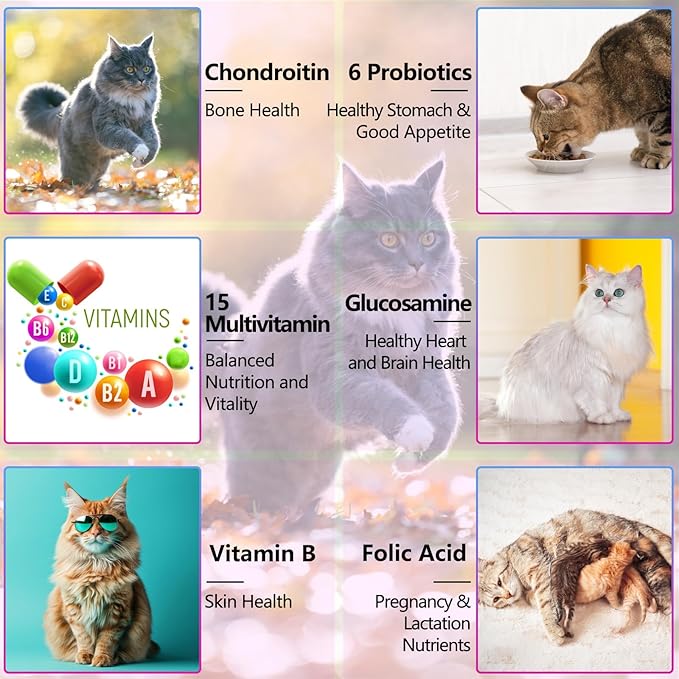 15-in-1 Multivitamin Drops for Cats - Immune Support, Skin & Coat Health, Digestion, Joint Care - with Vitamins A, B, C, D, E - Liquid Supplement for All Life Stages, Easy to Use, 2 fl.oz