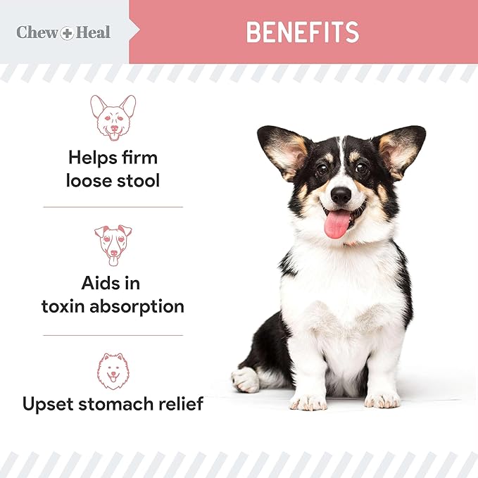 Chew + Heal Labs Anti Diarrhea for Dogs - 12 oz. of Stop The Diarrhea Liquid Supplement with Kaolin for Upset Stomach Relief - Made in The USA