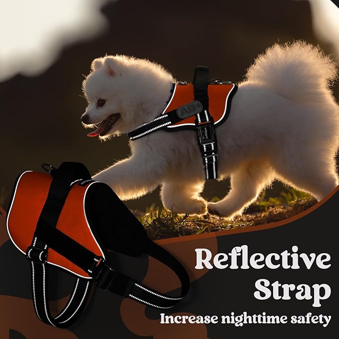 rabbitgoo Dog Harness Medium Sized, Easy On Pet Vest with One Buckle, No Pull Adjustable Service Harness with D-Ring & Handle, Reflective for Safety Walking, Training, Orange, M