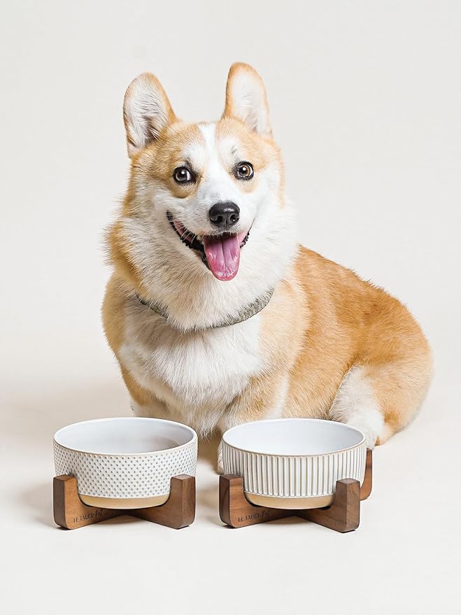 Ceramic Dog Bowls for Medium Small Dogs - 4 Cup Medium Dog Food and Water Bowls with Wood Stand, Cute Pet Dishes Set of 2, Lines+Dot