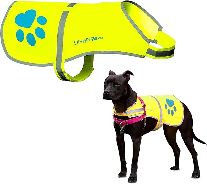 Dog Reflective Vest – Hi-Vis Fluorescent Visibility That Helps to Safeguard Your Pet On/Off Leash in Urban & Rural Areas (Yellow, Medium)