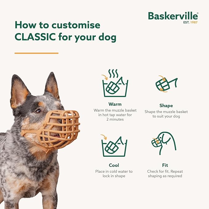 Baskerville Classic Basket Muzzle - Dog can Pant and Drink, Prevents Biting and Food Waste Scavenging, Strong TPR, Ideal for Longer Nosed Dogs, Breathable Dog Training Muzzle for Small Dogs (Size 2)