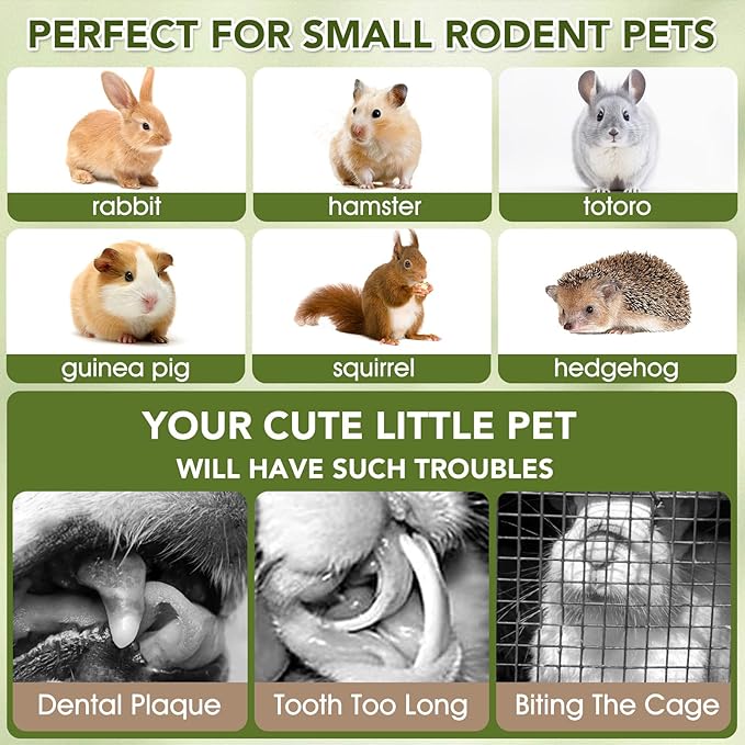 12PCS Rabbit Chew Sticks, Hanging Chew Sticks & Cakes Timothy Hay Rose Chrysanthemum Treat for Bunny Chinchilla Guinea Pig Hamster and Other Small Pets Molar Snack Toy