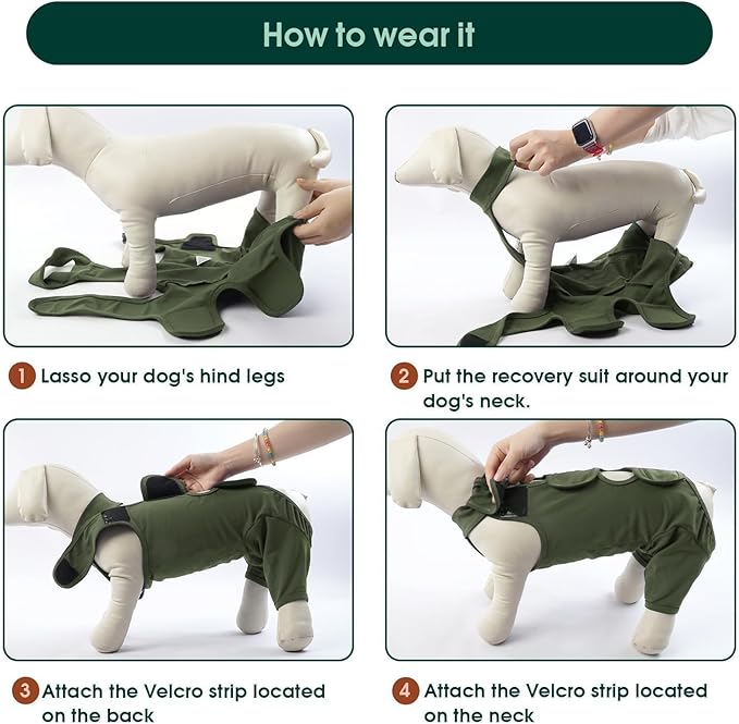 Kuoser Thigh Wound Protective Sleeve for Dogs, Surgery Recovery Suit for Rear Legs, Recovery Sleeve for Female Male Dogs, Onesie After Surgery, Pet Surgical Suit for Spay Neuter, Green S