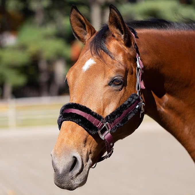 Equinavia Valkyrie Soft Ultra Fleece Padded Adjustable Breakaway Horse Halter - Wine Red/Black - Horse