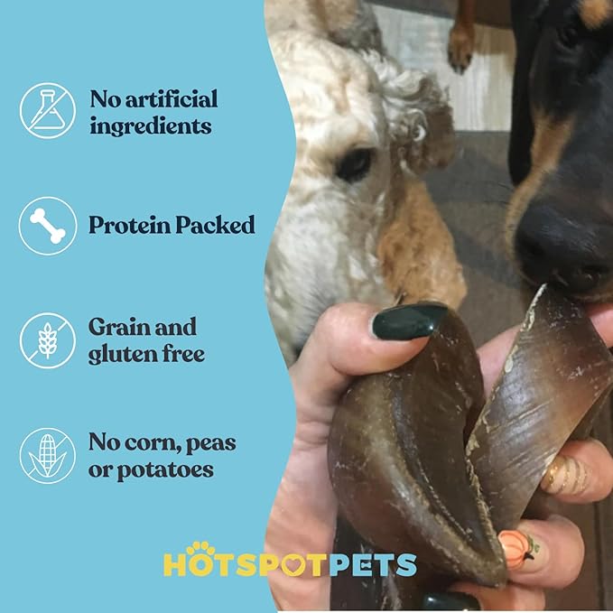 Full-Size Cow Hooves for Dogs | (50 Pack) All-Natural Long Lasting Dog Chews | Made from Grass Fed Cattle | Tasty Treat for Oral Hygiene | Fantastic Alternative for Rawhide and Bully Sticks