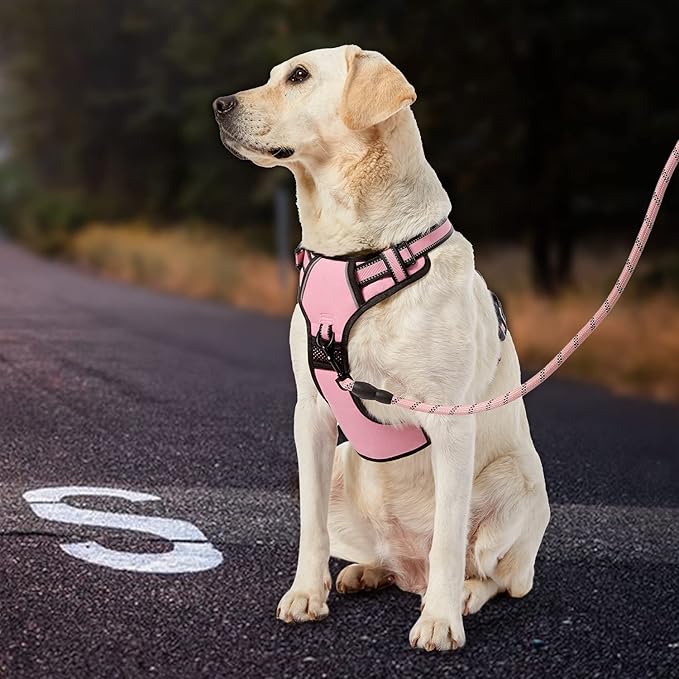 IVY&LANE No Pull Dog Harness for Large Dogs, Dog Vest Harness with Leash, Safety Belt and Storage Strap, Fully Adjustable Harness, 360° Reflective Strip, Soft Handle (Pink, XL)