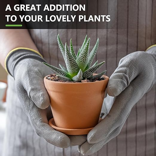 2.5lbs Small Rocks for Terrarium, Planters Drainage, 1/5 Inch Lava Rock for Bonsai Tree, Decorative Gravel for Succulents, Bamboo, Cactus, Mixed Color