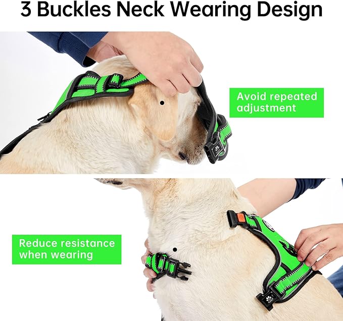 IVY&LANE No Pull Dog Harness for Small Dogs, Dog Vest Harness with Leash, Safety Belt and Storage Strap, Fully Adjustable Harness, 360° Reflective Strip, Soft Handle (Green,S)