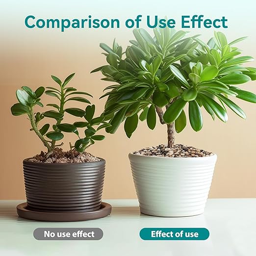 10 lbs Pebbles for Indoor Plants, Vase, Succulent, 3/8" Gravel for Plants, Pots Indoor, Bamboo Rocks for Bamboo Plants, Decorative Small River Rock, Highly Polished