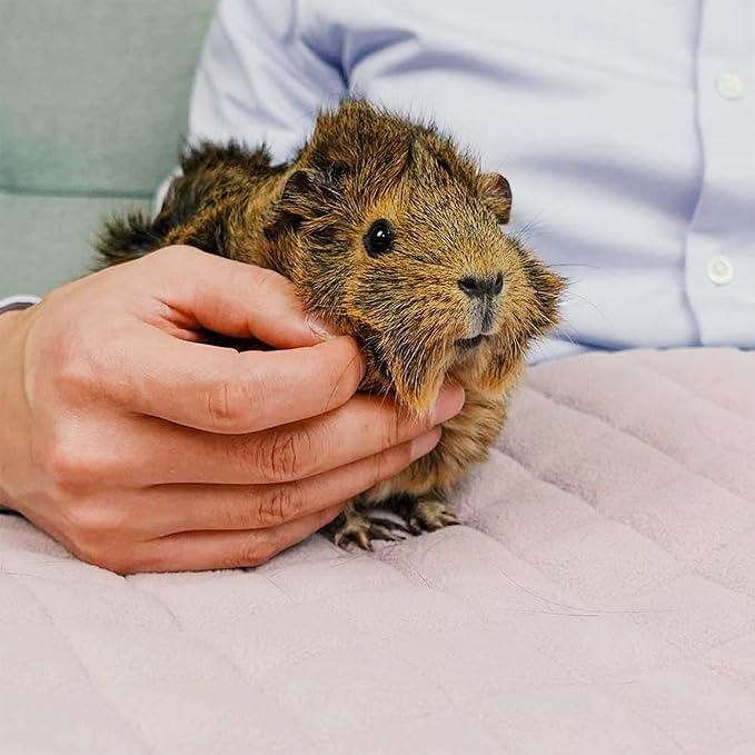 GuineaDad Premium Liner – Fleece Guinea Pig Cage Liner – Ultra-Plush Reusable Fleece Bedding with Waterproof Bottom – Extra Absorbent Liner for 2x3 C&C Cage (Blush)