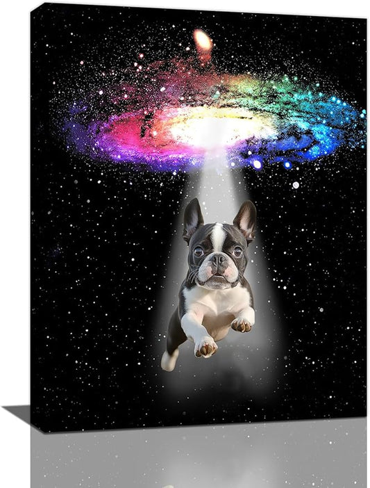 Funny Dog Wall Art Canvas Boston Terrier Wall Decor Prints Framed Painting Bulldog Galaxy Pictures Gifts Artwork for Bathroom 16"x20"