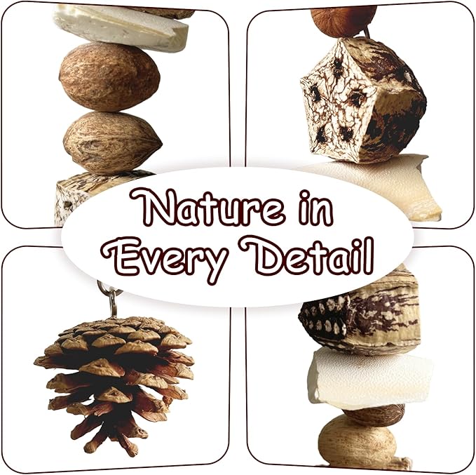 Nut Perch Stand with Interchangeable Materials – Natural, Safe Bird Playset for Beak Exercise & Mental Stimulation