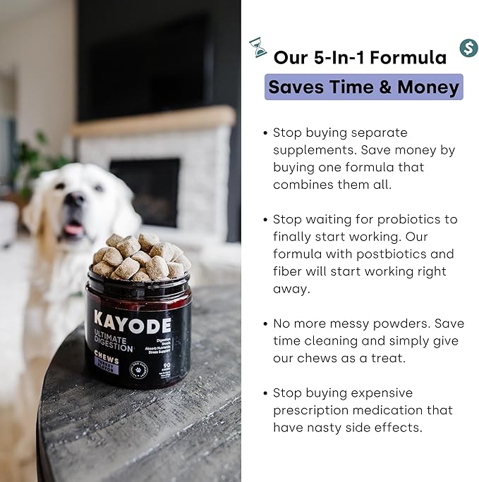 Kayode Ultimate Digestion. Fast Facting Anti Diarrhea for Dogs. Dog Fart Remedy & Dog Gas Relief. Natural Nutrients for Healthier, Firmer Stools. Pumpkin & Digestive Enzymes for Dogs.