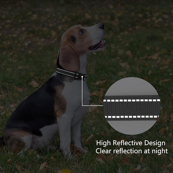 Reflective Dog Collar Padded with Soft Neoprene Breathable Quick Release Basic Dog Collars for Large Dogs Black Boy Girl