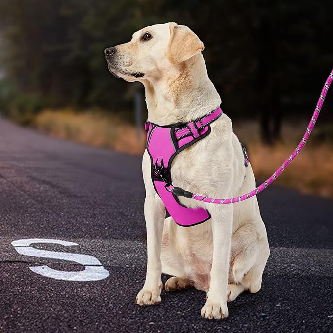 IVY&LANE No Pull Dog Harness for Large Dogs, Dog Vest Harness with Leash, Safety Belt and Storage Strap, Fully Adjustable Harness, 360° Reflective Strip, Soft Handle (Fuchsia Pink, L)