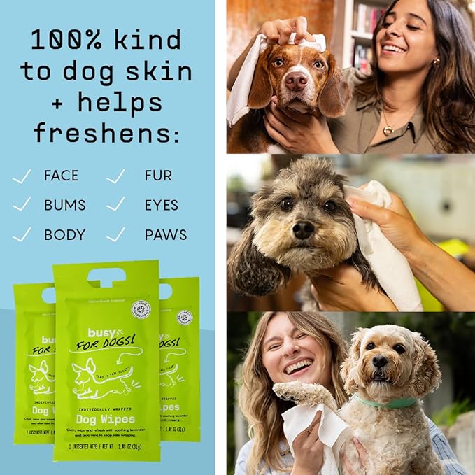 Busy Co. - Hypoallergenic Dog Wipes, Cleaning and Odor Control Grooming Wipes for Paws, Body, and Butt, Perfect for Puppy and Adult Dogs, Individually Wrapped, Unscented (Unscented, 20 Grooming Wipes)