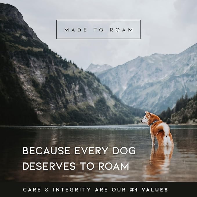 MADE TO ROAM Premium Explorer Harness - Y-Shaped Dog Harness with Adjustable Durable Nylon, Soft Padding, Metal Buckles and Leather Handle for Small, Medium, Large Dogs (Nevada Evening, Size 5)
