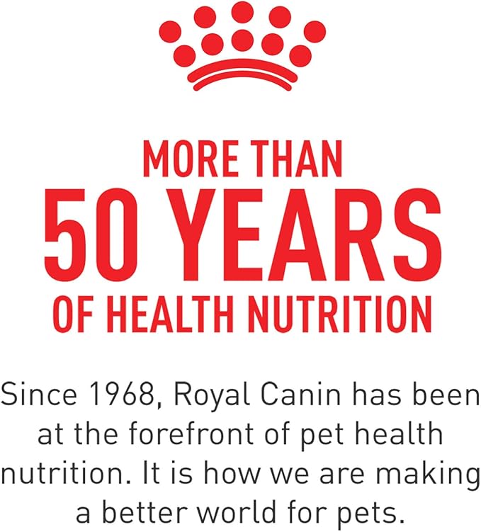 Royal Canin Feline Health Nutrition Kitten Loaf in Sauce Canned Cat Food, 5.1 oz can (24-count)
