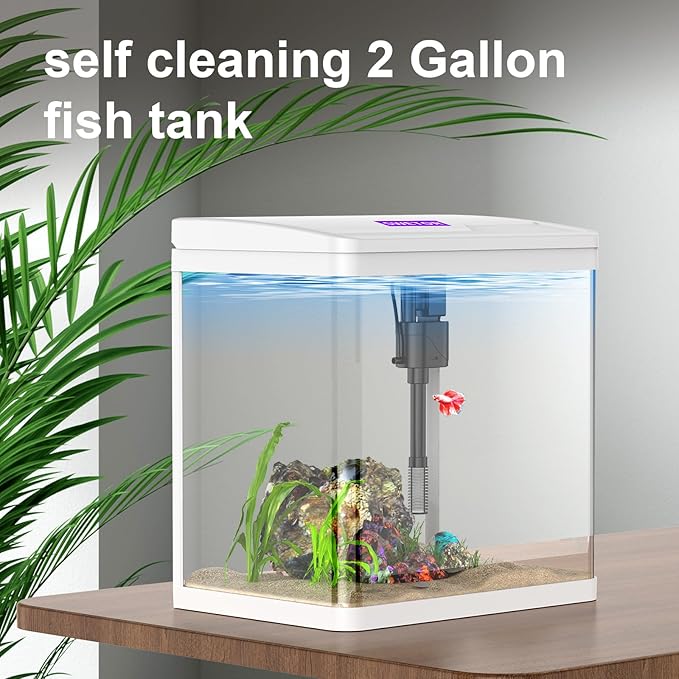 2 Gallon Glass Betta Fish Tank，Small Fish Tank with Filter and Light,Self-Cleaning Fish Tank.