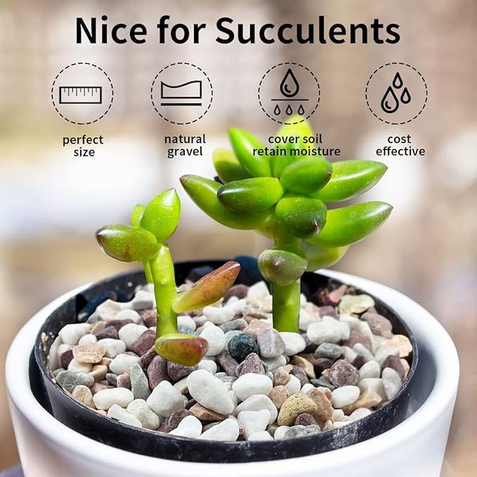 2 lbs Natural Mixed Color Pea Gravel Pebbles, 3/8 inch Decorative Rocks for Succulents, Pebbles for Indoor Plants, Vases, Aquarium Gravel, Top Dressing, Outdoor Decorative Stones