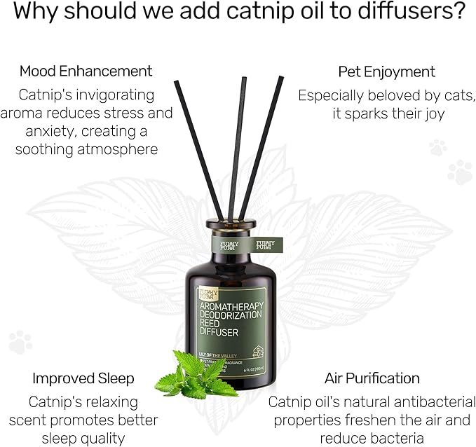 Reed Diffuser for Pet Odor Elimination, Lavender Cedar, Non-Toxic & Pet-Friendly Air Freshening, 6 Oz