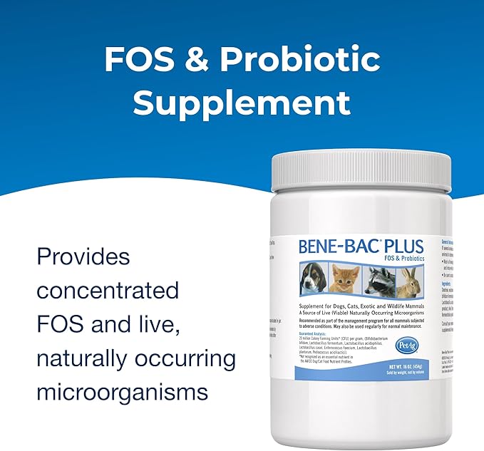 PetAg Bene-Bac Plus - 1 lb Powder - FOS & Probiotics for Dogs, Cats, Exotic & Wildlife Mammals